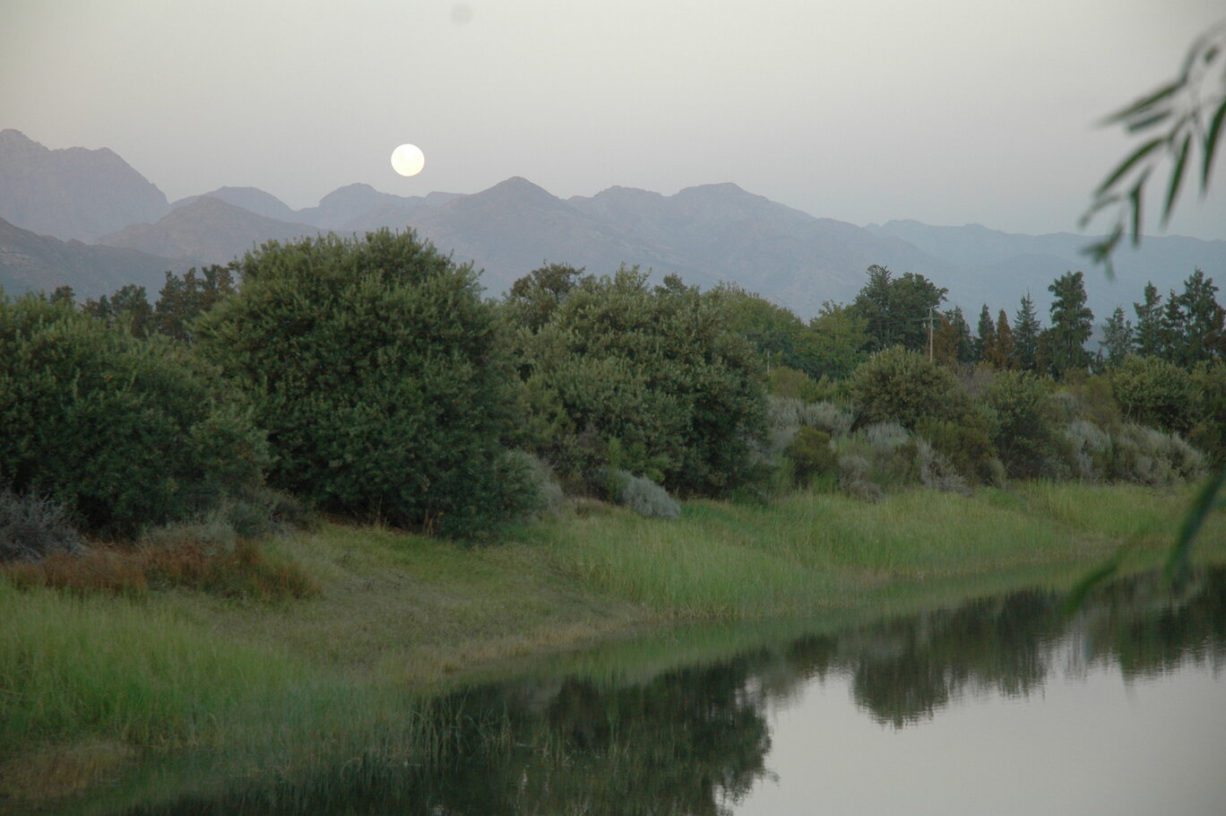 The moon rising over the Drakenstein mountains at dusk.